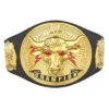 The Rock Brahma Bull