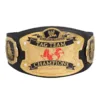 RAW Ruthless Aggression World Tag Team