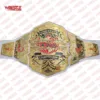 TNA Knockouts World Wrestling Championship Replica Belt