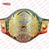 TNA Championship Wrestling Replica Title Belts