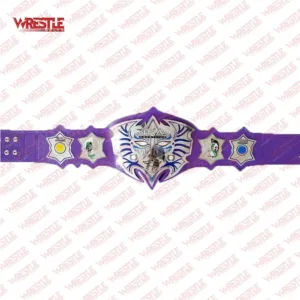 TNA Jeff Hardy Belt Wrestling Championship Replica Belt