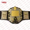 Champion of the AWA: The Ultimate Wrestling Legacy