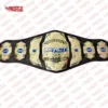 Wrestling Championship TNA Replica Title Belts