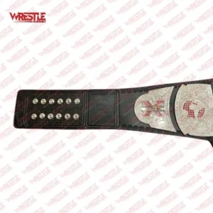 TNA X Division Heavyweight Championship Replica Belt