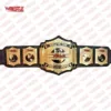 TNA World Tag Team Wrestling Championship Replica Title Belt