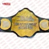 NEW TNA Heavyweight Wrestling Championship Replica Belts