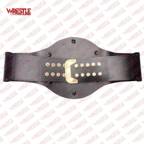 TNA X Division Legacy Wrestling Championship Replica Belt