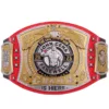 John Cena Farewell 2025 belt