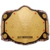 Rey Mysterio 619 San Diego Signature Series title Belt