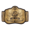 Official Tag Team Championship Replica Title Belt