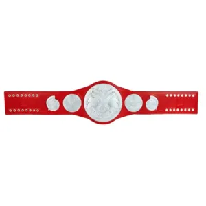 WWE RAW Tag Team Championship