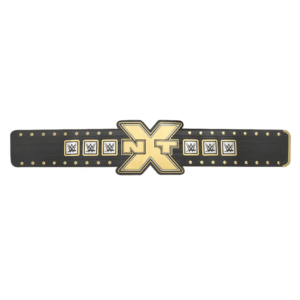 NXT Championship belt