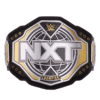 NXT Championship 2024