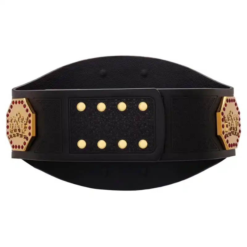 AAA Mega Championship belt AAA Mega Championship belt